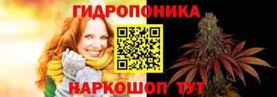 дмт Камышлов