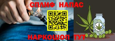 дмт Камышлов