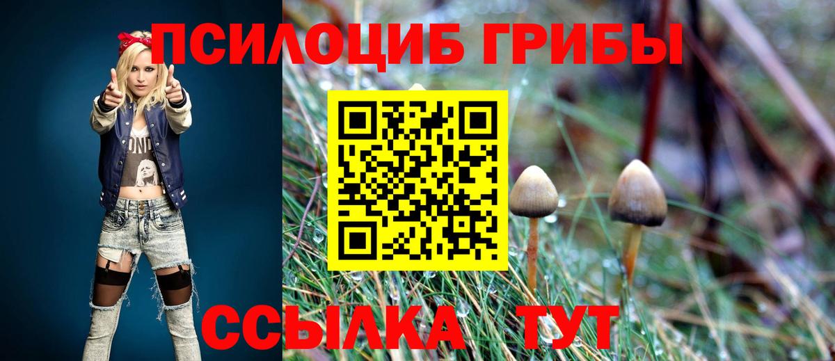 купить наркоту  Вход с VPN  Валуйки  Псилоцибиновые грибы GOLDEN TEACHER 