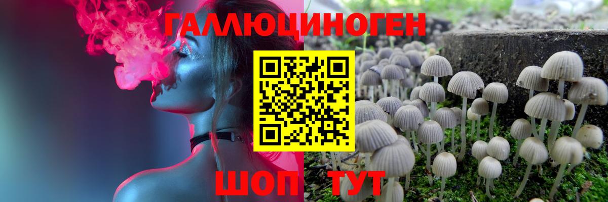 Галлюциногенные грибы GOLDEN TEACHER Валуйки